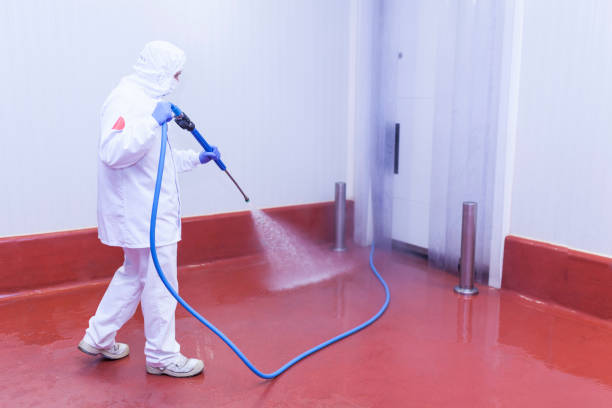 Best Roof Washing  in Idabel, OK